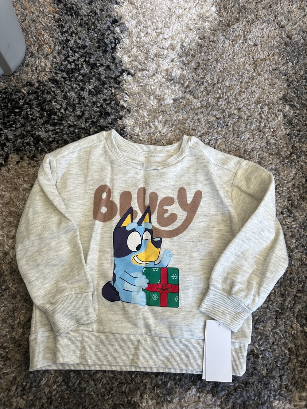 Bluey' Graphic Kids Sweatshirt with Gift Print